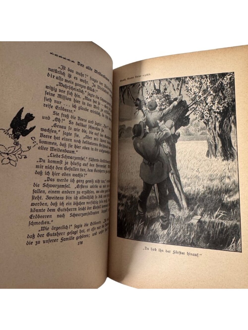 "Mother Nature Tells" By Karl Ewald Hardcover Book German Mutter Natur Erzählt - Picture 13 of 16